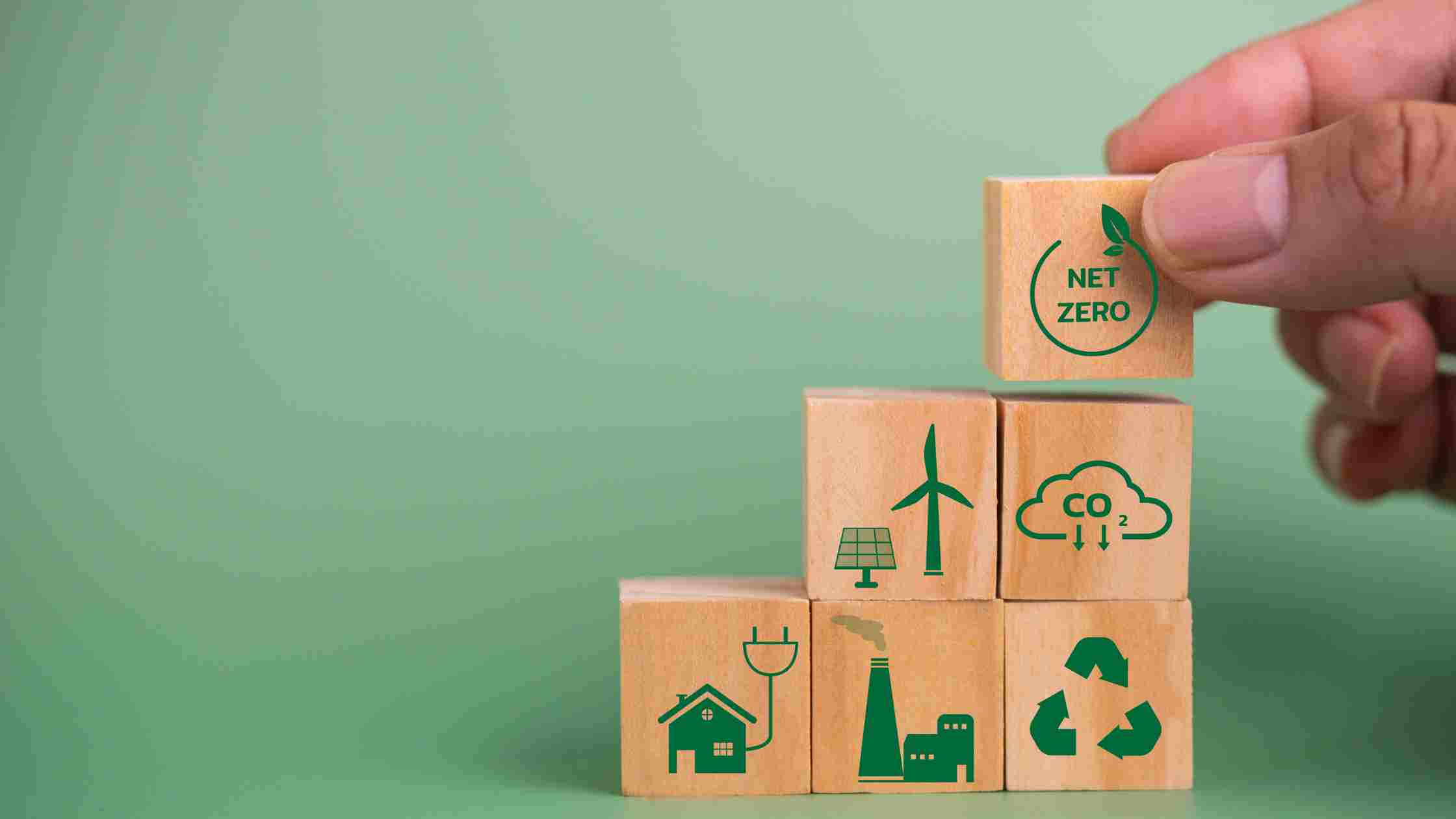 L'EFFETTO ALONE DELLA SOSTENIBILITA'