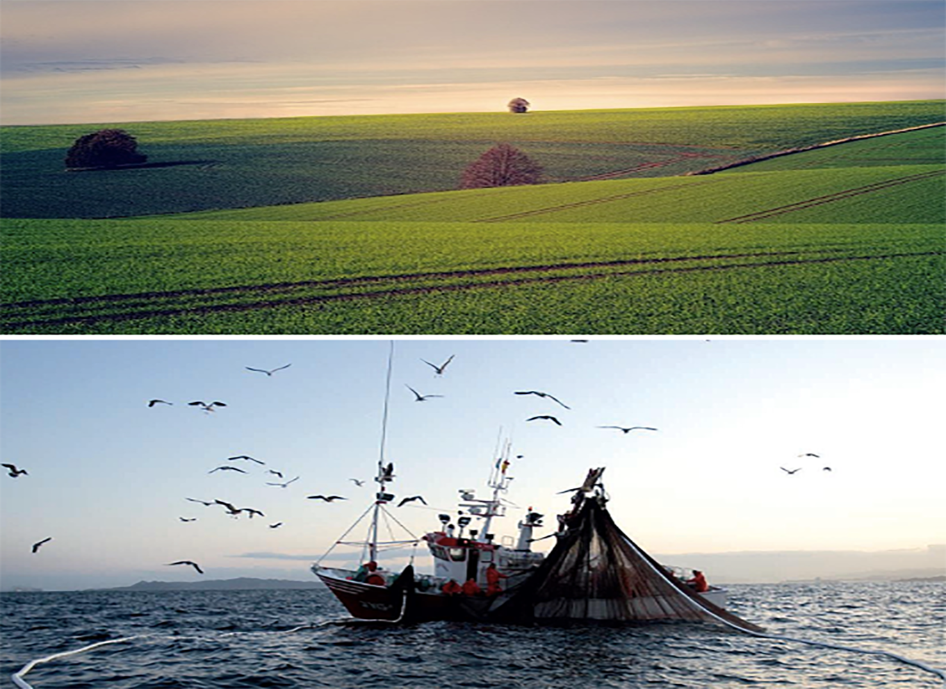 RSPP/ASPP - MODULO B - SP1 (AGRICOLTURA, PESCA)